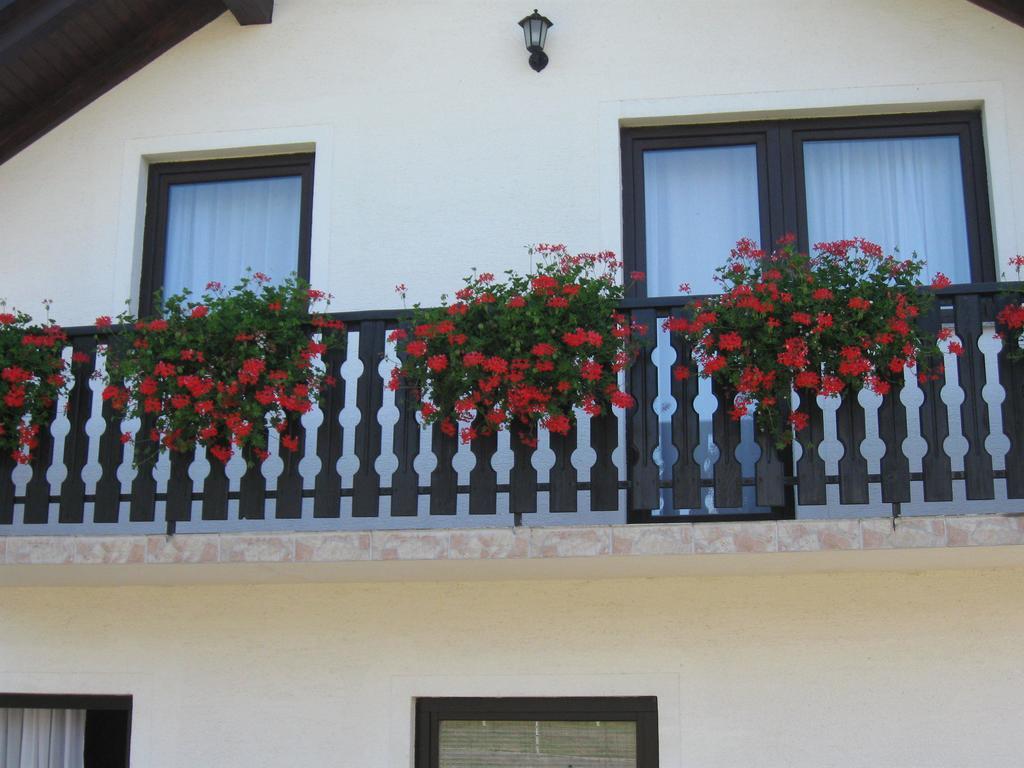 Apartments Dale Smoljanac Rom bilde